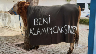 Verimli tarım arazisine maden projesi: Bu dağlar bizim sarı öküzümüzdür