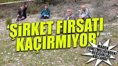 Zeytin ağaçlarına sahip çıkan Akbelen köylülerine müdahale