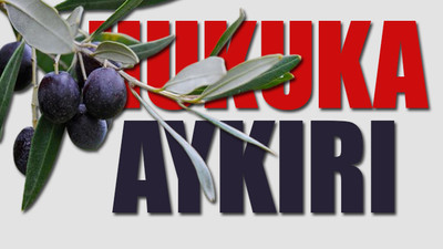 AKP katliamından zeytinlikleri kurtaracak hamle...