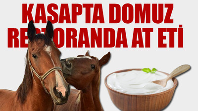 Bakanlık ifşa etti, yoğurdun içinden çıkan şaşırttı