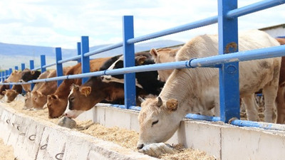 CHP’li Gürer: Cumhurbaşkanı konuştukça yem fiyatları artıyor