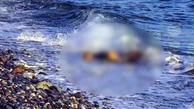 Ege’de insanlık dramı! Yedi kişinin cansız bedeni sahile vurdu