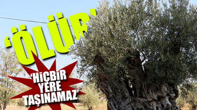 Kanunsuz yönetmeliğin formülü bilime aykırı