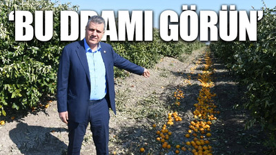 Limon üreticisi isyan etti, mahsulünü yere döktü  