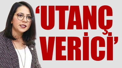 Meclis'te AKP'li vekillerden Sera Kadigil'e hakaret