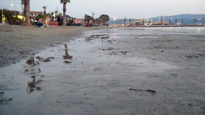 Muğla'da deniz suyunun 50 metre çekilmesi endişe yarattı: Deprem habercisi mi?