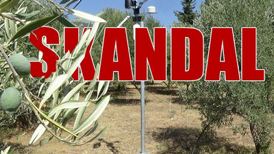 Resmi Gazete’de yayımlandı: Zeytinlikler, maden sahası için yok edilebilir