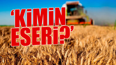 'Şirketin personeli yok Sudan'da şubesi var'