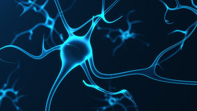 Solucanlar da zor kararlar verebiliyor! Strateji yaptıkları ortaya çıktı