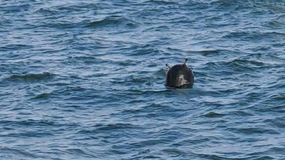 Tarım Bakanlığı açıkladı: Balıkçılık faaliyetlerine 'mayın' engeli