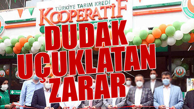 Tarım Kredi Birlik'in yöneticilerine milyonlar ödendi