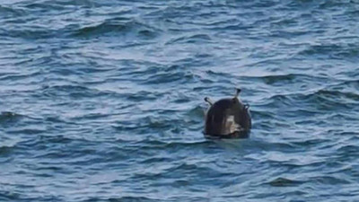 Türkiye’nin ardından Romanya’da da mayın görüldü
