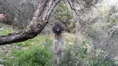 Vahşet: Köpeğin cansız bedeni ağaca asılı halde bulundu