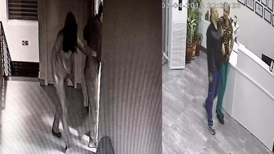 Veterinere cinsel saldırı davasında yeni gelişme