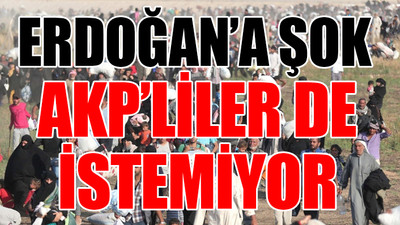 Yeni Şafak Genel Yayın Yönetmeni'nden anket itirafı