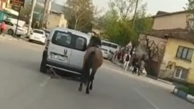 Atına işkence yapan sürücü serbest kaldı