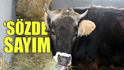 Bakanlık 'acele' kodlu yazı göndermişti... CHP'li Bakırlıoğlu'ndan tepki geldi