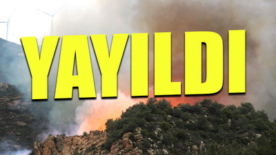 Bodrum'da korkutan orman yangını!