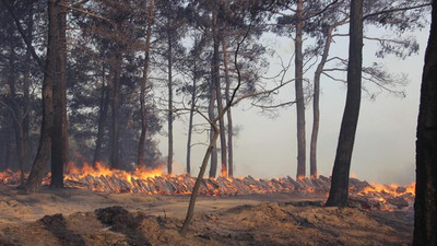 Çanakkale'de orman yangını