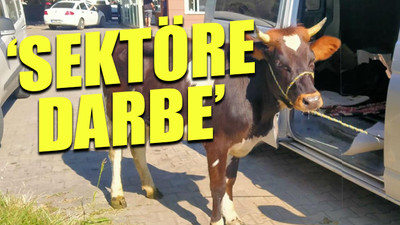 Çiftçilerden ihracat kısıtlamasına tepki: Yeni Zelanda'daki kuraklık fırsat yaratmıştı ama...