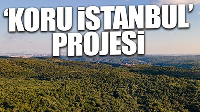 İBB, doğa tahribatının önüne geçiyor 