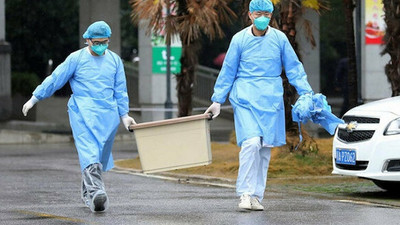 Japonya'da yeni virüs paniği