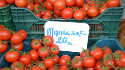 Manav domatesin fiyatını yazarken 'maalesef' ile vurguladı 