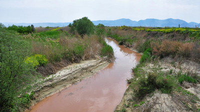 Nif Çayı'nda korkutan görüntü... Çiftçi tedirgin oldu