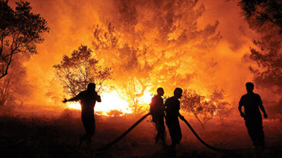 Orman Genel Müdürlüğü 5 bin geçici işçi alacak