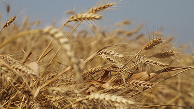 Oxfam uyardı: Aşırı yoksulluk yaşayan insanlar artacak