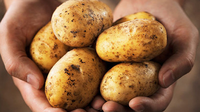 Patateste kanser riski nedeniyle 26 il karantinada