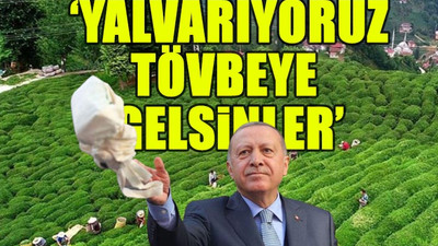 Rizeli çay üreticisi Erdoğan'a seslendi