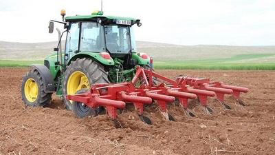 Sakarya'da bir çiftçi: AK Parti’ye oy verdim, haram zıkkım olsun