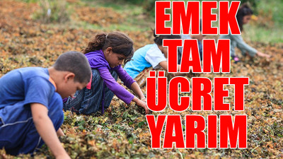 Yoksulluk en çok onları vurdu: 500'den fazla çocuk çalışırken öldü!