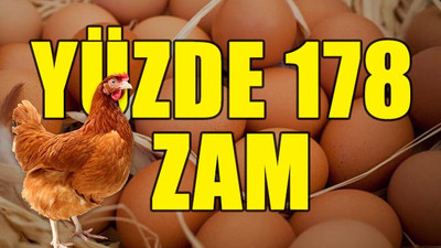 Yumurta fiyatları rekora koşuyor