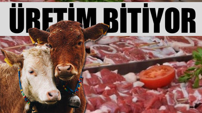 Yüzde 48 zammın ardından et fiyatlarına yeniden fiyat artışı...
