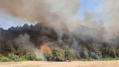 Adana'da korkutan orman yangını