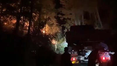 Adana'da orman yangını: 3 saat sonunda kontrol altına alındı