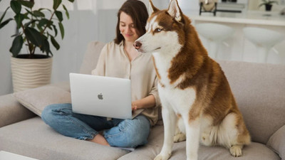 Araştırma: Köpek cinslerinin ortalama ömürleri tespit edildi