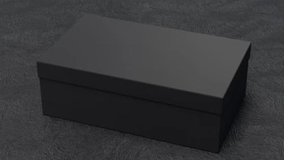 Ayakkabı kutusunda bulunmuştu: Açık artırma iptal edildi