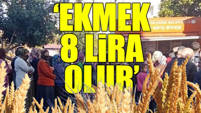 Buğday ithalatı planları suya düştü