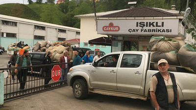 Çaykur kooperatifle anlaşamadı; çayı elinde kalan Rizeli üreticiler tepki gösterdi
