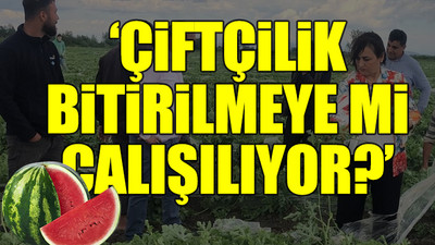 CHP'li Dr. Müzeyyen Şevkin, çiftçiler ile bir araya geldi: Çiftçinin 'ithal karpuz' isyanı