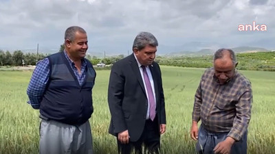 CHP'li Gökçel'den TMO'ya çağrı: Aksi takdirde 10 liraya buğday ithal etmek zorunda kalırız