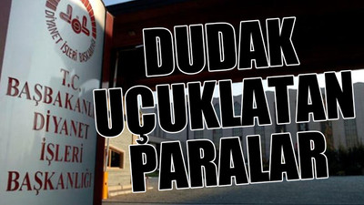 Diyanet'ten 5 ayda 18 milyon 500 bin TL'lik kitap harcaması