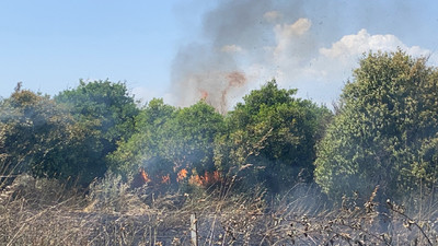 Fethiye'de otluk alanda yangın 