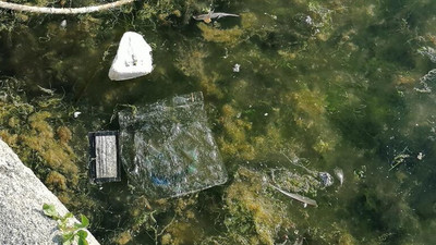 İklim Krizi: Silivri Sahili'nde denizi çöplüğe çevirdiler, ekipler harekete geçti