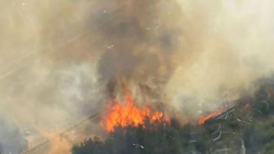 İzmir Bergama'da orman yangını