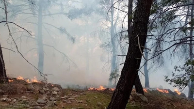 İzmir'de orman yangını: 12 hektarlık alan alevlere teslim oldu
