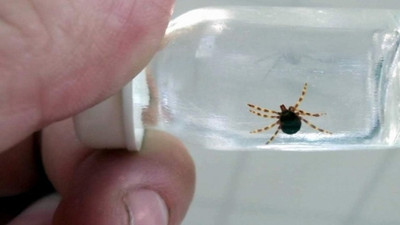 Kene kabusu geri döndü, ölü sayısı yükseliyor: Vatandaşlara hayati uyarılar